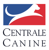 logo_SCC