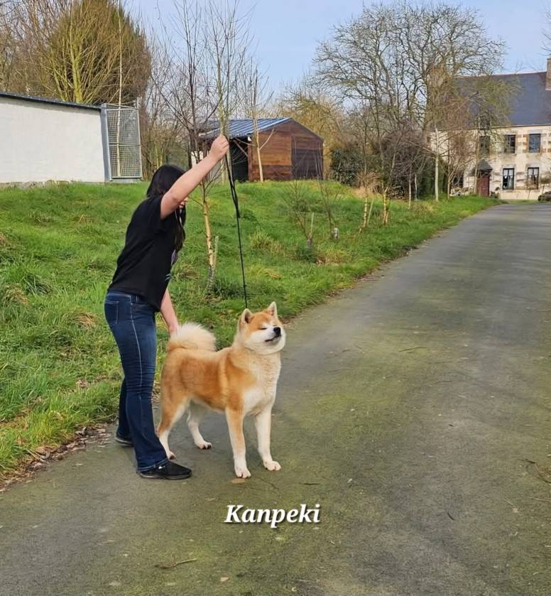 kanpeki 2