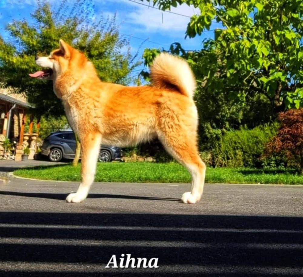 Aihna (2)