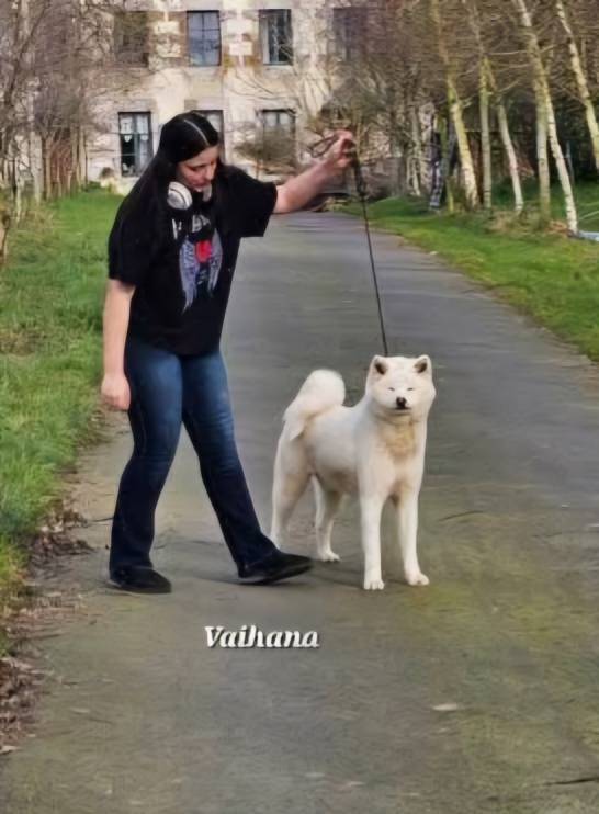 Vaihana (2)